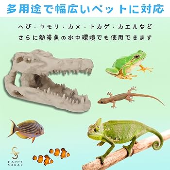 爬虫類シェルター　345 白マット×黒、ブルーとピンク、赤いヒトデ Amazon | AllBright 爬虫類シェルター 爬虫類 シェルター 隠れ家